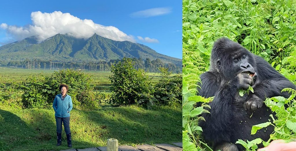 The hour my heart stopped